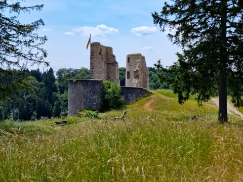 Burg Schönecken