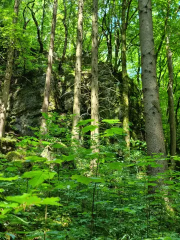 Schönecker Schweiz