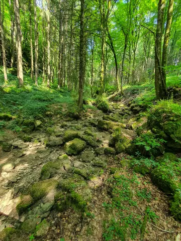 Schönecker Schweiz