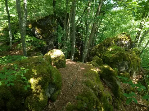 Schönecker Schweiz