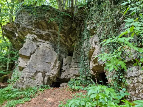 Schönecker Schweiz