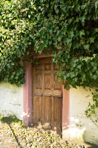 Alte Gartentür