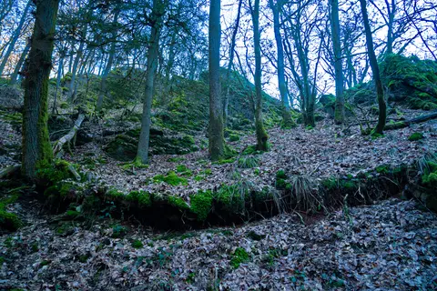 Felsen am "Milchbächelchen"