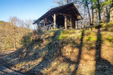 Die Wolfshütte