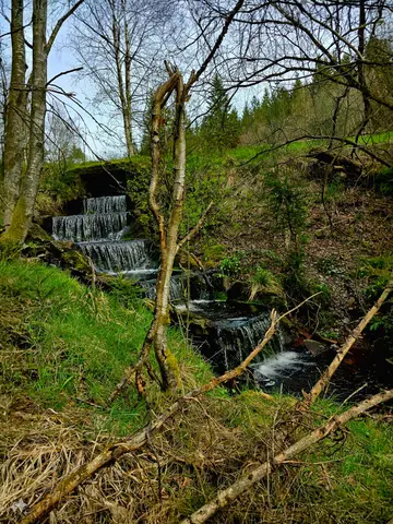 Am Krockesbach