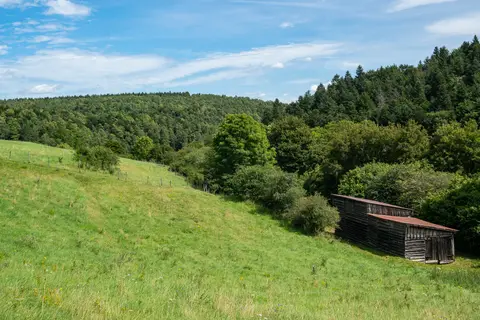 Blick in Richtung Niederehe