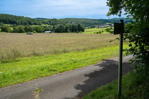 Blick über die Wiesen