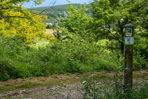 Der Eifelsteig