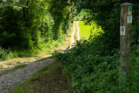 Der Eifelsteig