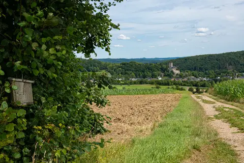 Blick bergab in Richtung Kerpen