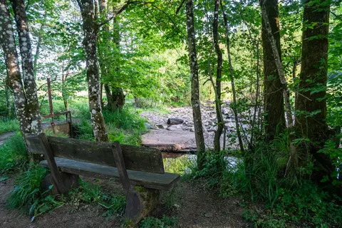 Wehr zwischen Salm und Mühlengraben