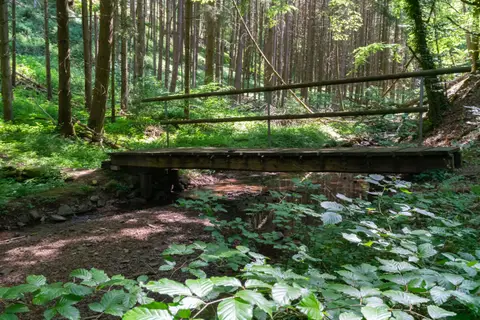 Brücke über den Hesselbach