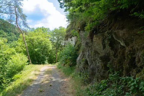 Felsblock am Ueßbach