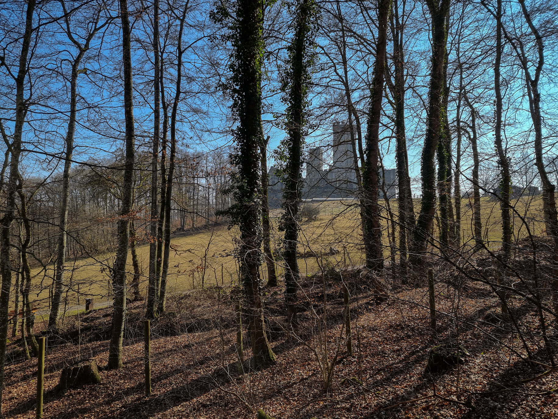 Silhouette der Kasselburg