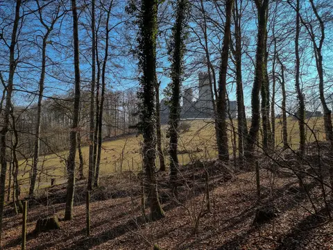 Silhouette der Kasselburg