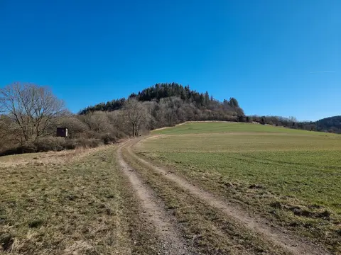 Blick zurück auf den "Kasselburger Hahn"