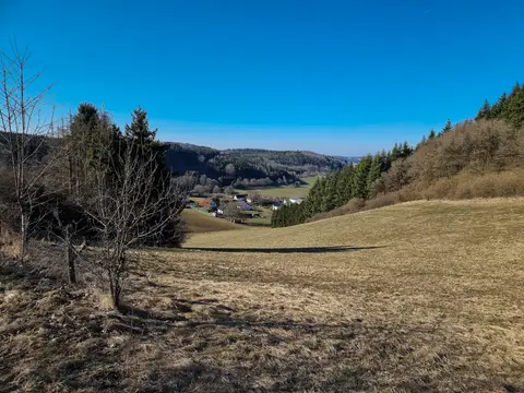 Blick hinunter nach Bewingen