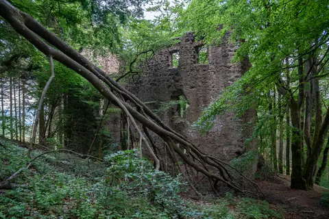 Burgruine Freudenkoppe