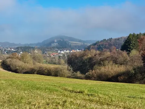 Blick zurück nach Kerpen