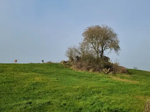 Trümmer eines Weltkriegsbunkers