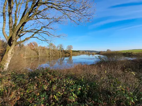 Eichholzmaar