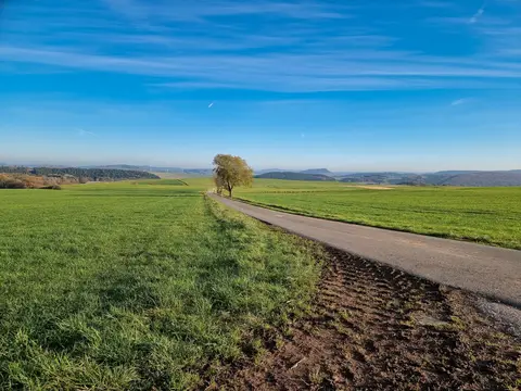 Blick in Richtung Osten