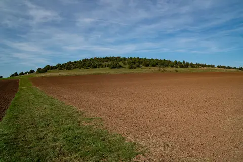 Der Baumberg