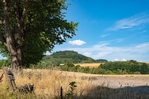 Blick auf den Mosenberg