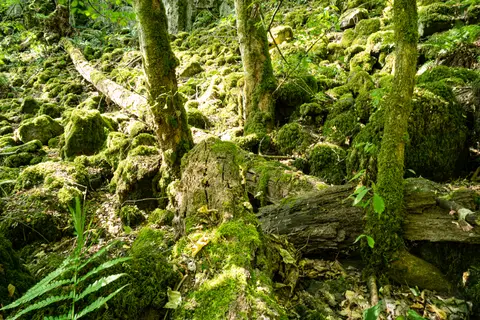 Wolfsschlucht