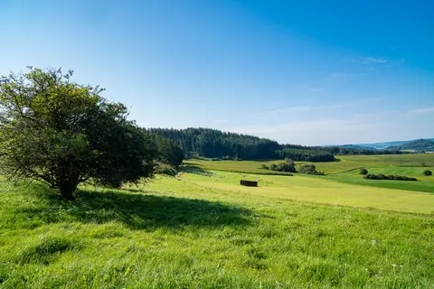 Hinter Walsdorf