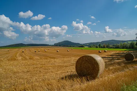 Der Döhmberg in der Ferne