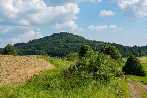 Blick zum Döhmberg