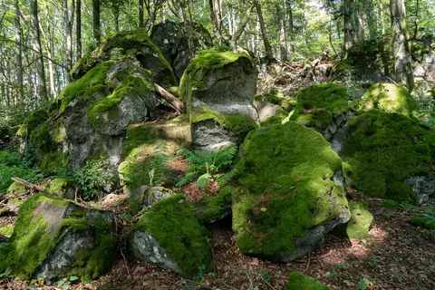 Basaltbrocken am Ernstberg