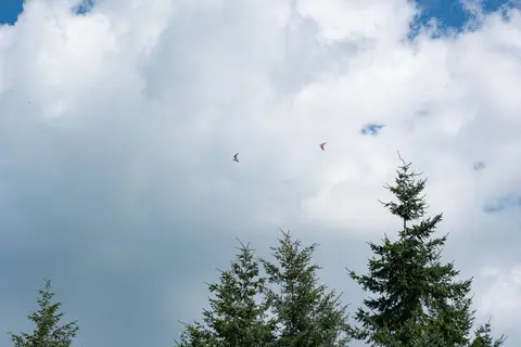 Sportflieger vom Flugplatz bei Hinterweiler