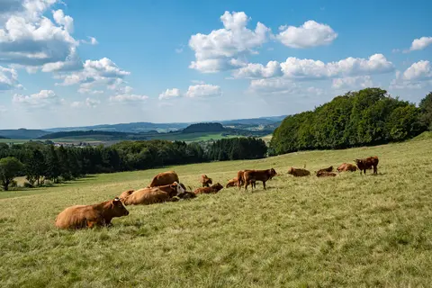 Naturidylle