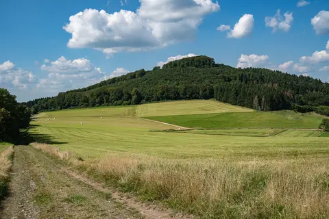 Auf der "Römerstraße" am Döhmberg