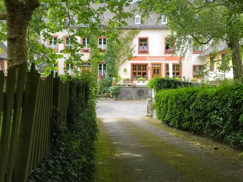 Erlenmühle