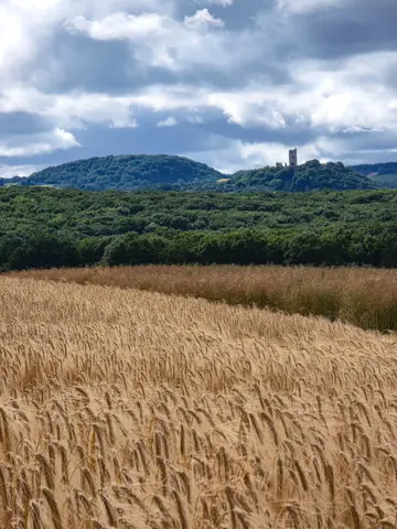 Burg Olbrück in der Ferne