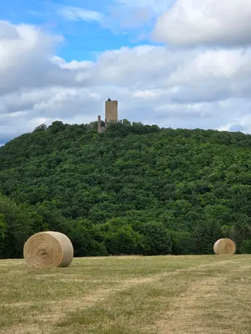Blick zurück zur Burg Olbrück