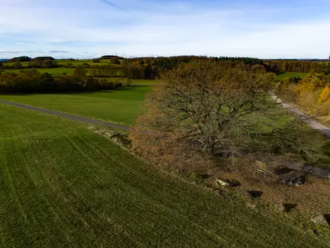"Siegeseiche" in Walsdorf