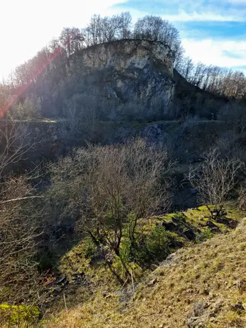 Weinberg