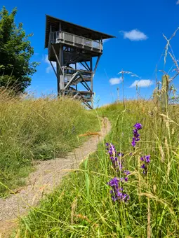 Aussichtsturm Mühlenberg