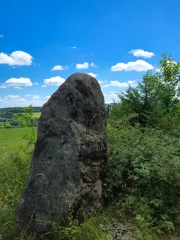 "Pferdekopf"