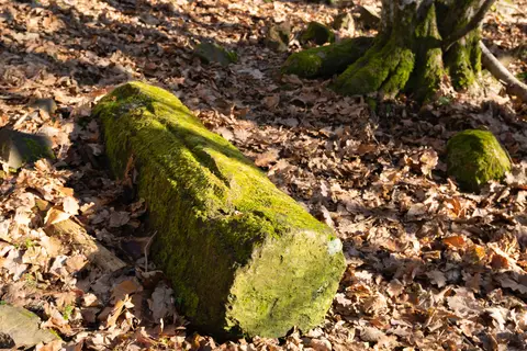 Säulenteil am Rande der Burg