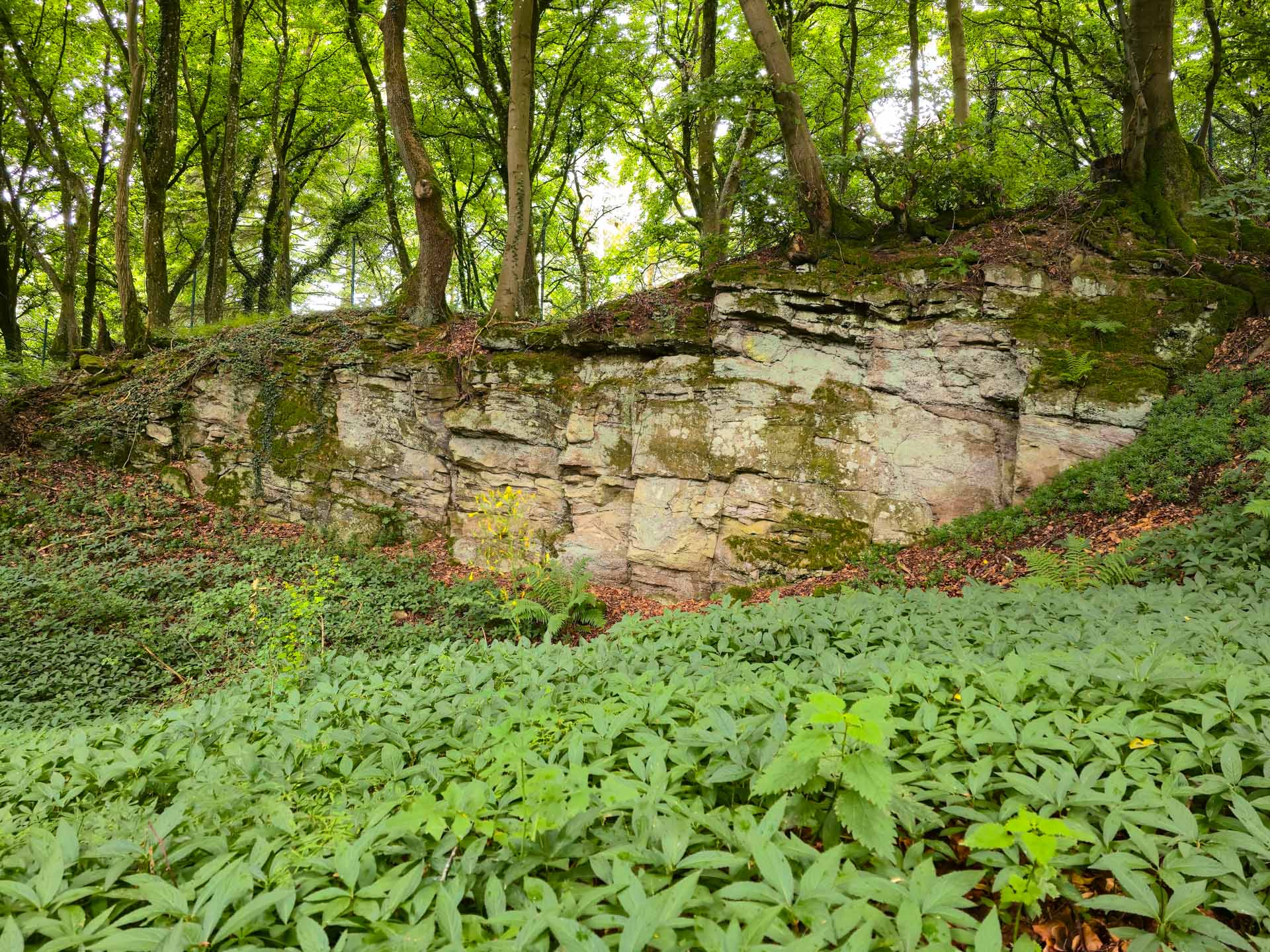 Am Funkturm G&auml;nsehals